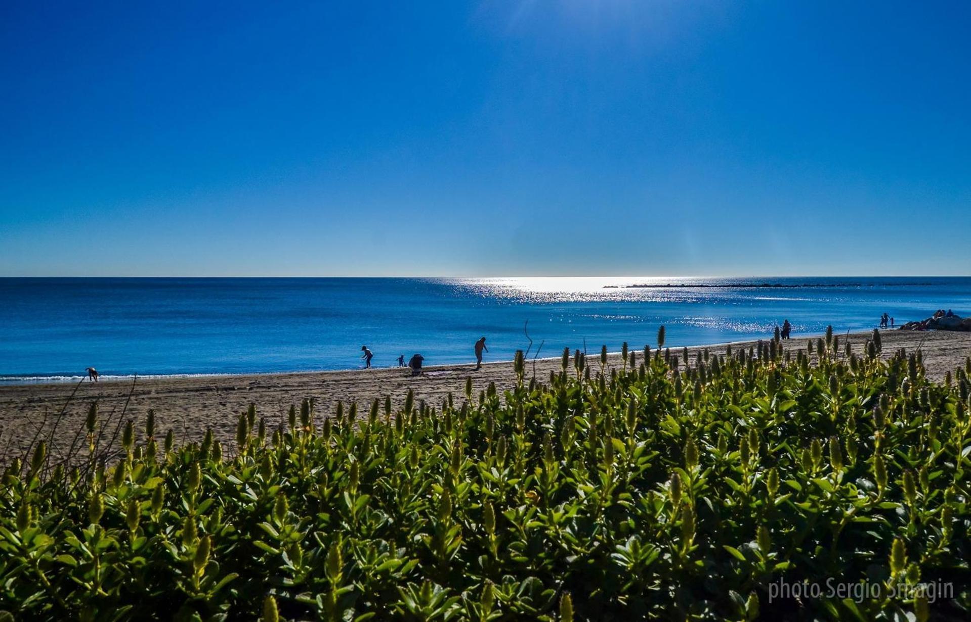 Los Patos I Apartamentos - Segunda Linea De Playa - Parking Gratis - Piscina 贝纳尔马德纳 外观 照片